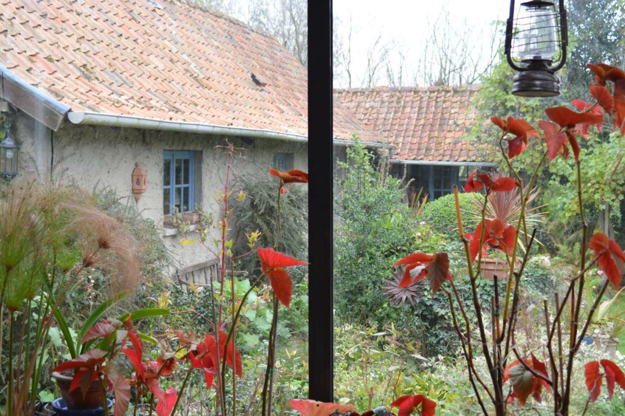 Le Jardin Sauvage Bed & Breakfast Maintenay Ngoại thất bức ảnh